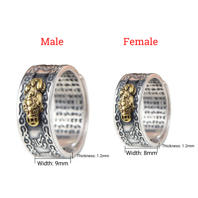 space-warming Wealth-attuned Mantra Ring - Wealth & Protection | AetherFate - Image 7